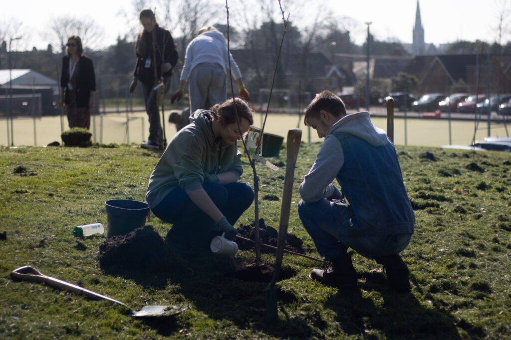 Two learners planting a tree