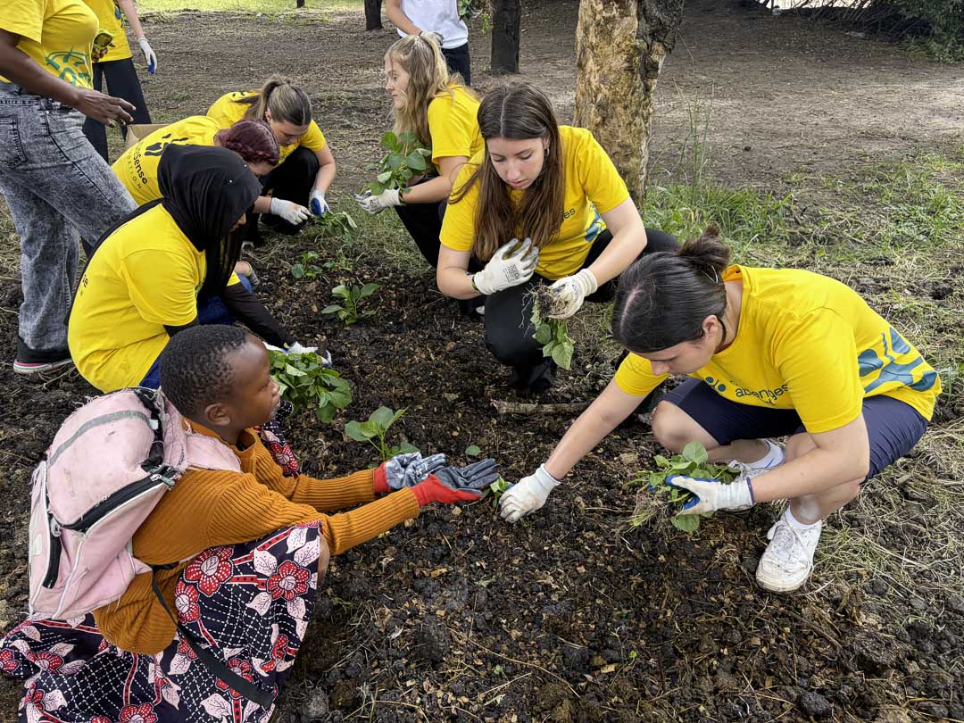 St David's students planting garden